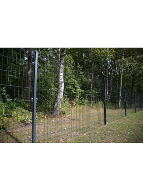 2D segmentas tvorai, 2,5x1,23 m, 200x50 mm, ø6/5/6 mm, ZN+RAL7016 3 2D segmentas tvorai, 2,5x1,23 m, 200x50 mm, ø6/5/6 mm, ZN+RAL7016 3