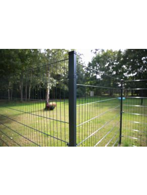 2D segmentas tvorai, 2,5x1,43 m, 200x50 mm, ø6/5/6 mm, ZN+RAL7016 1 2D segmentas tvorai, 2,5x1,43 m, 200x50 mm, ø6/5/6 mm, ZN+RAL7016 1