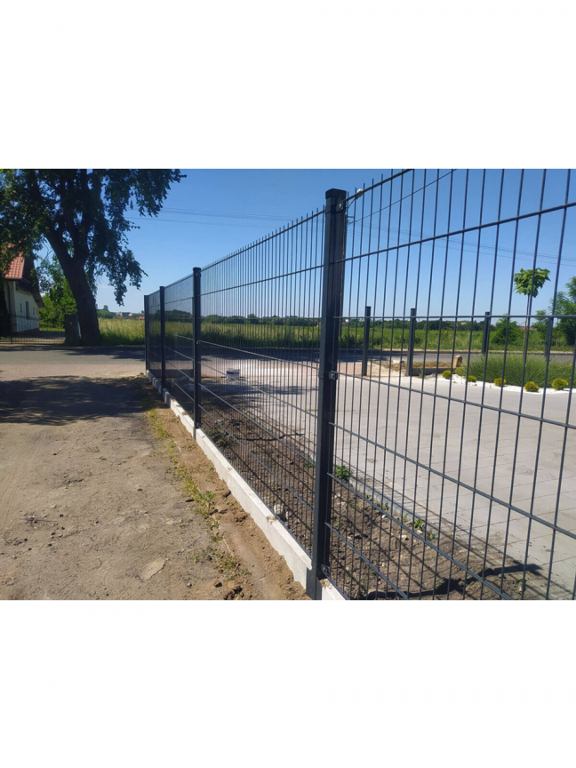 2D Segmentinė tvora 8/6/8 mm 3