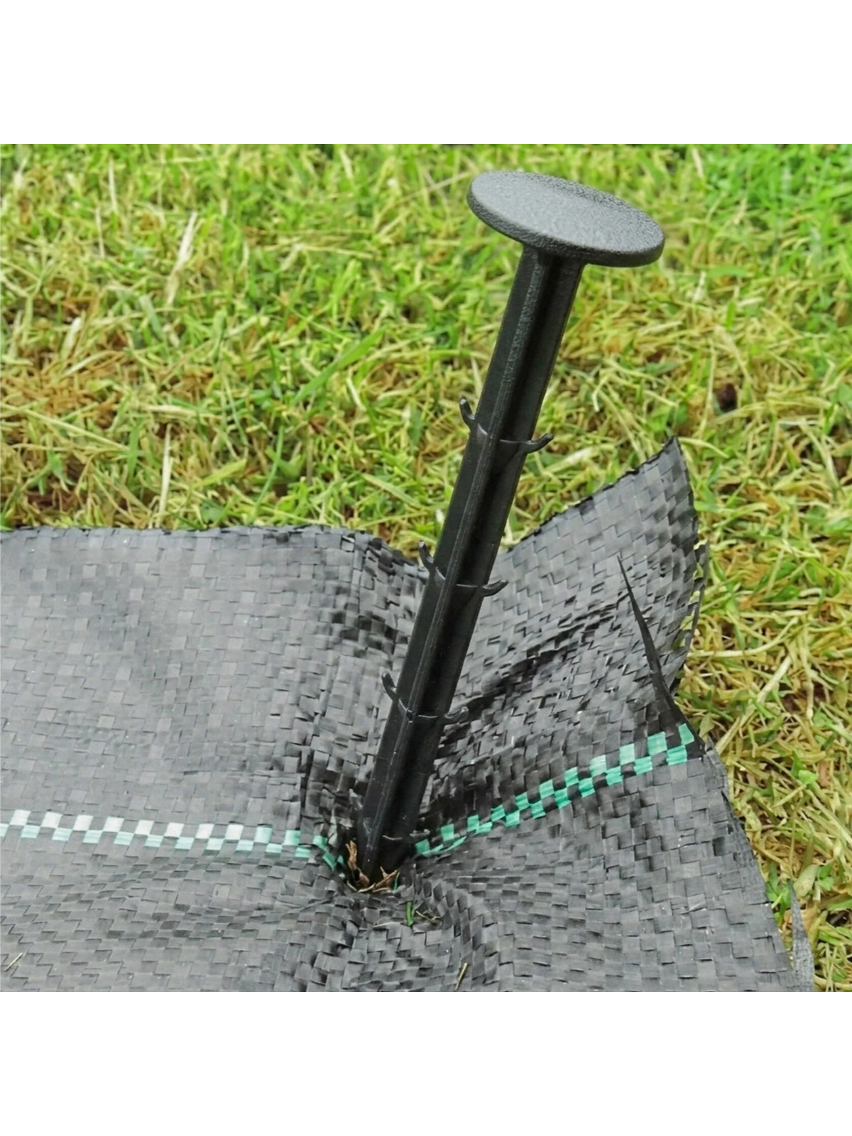 Agroplėvelė 1,6x50m 135g/m3 9 Agroplėvelė 1,6x50m 135g/m3 9