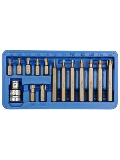 Antgalių rinkinys 15vnt. TORX CrV Vorel | T20, T25, T30, T40, T45, T50, T55