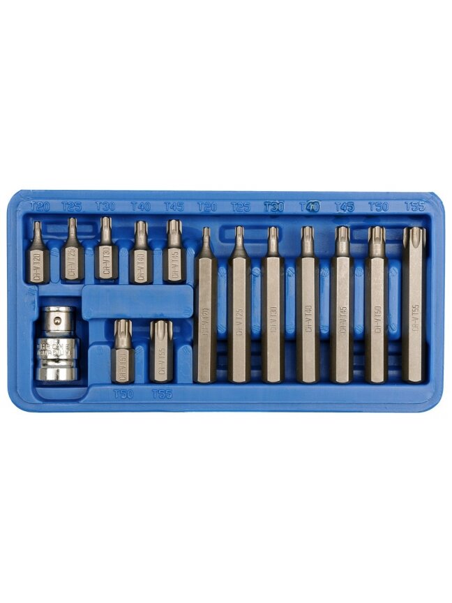 Antgalių rinkinys 15vnt. TORX CrV Vorel | T20, T25, T30, T40, T45, T50, T55 Antgalių rinkinys 15vnt. TORX CrV Vorel | T20, T25, T30, T40, T45, T50, T55