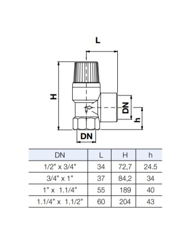 Apsauginis vožtuvas1/2" 6bar (10004703)