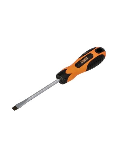 Atsuktuvas plokščias CrV Faster Tools | 5 x 100