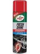 Automobilio prietaisų skydelio valiklis Turtle Wax, 0.5 l