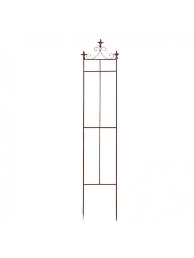 Augalo atrama PY62, 32 cm x 1.9 cm x 164.5 cm Augalo atrama PY62, 32 cm x 1.9 cm x 164.5 cm