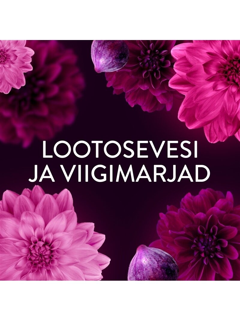 Audinių minkštiklis Lenor Diamond Figs & Lotus Flower 1.974l 2