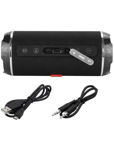 Belaidė kolonėlė Blow BT-460 Black, 20 W