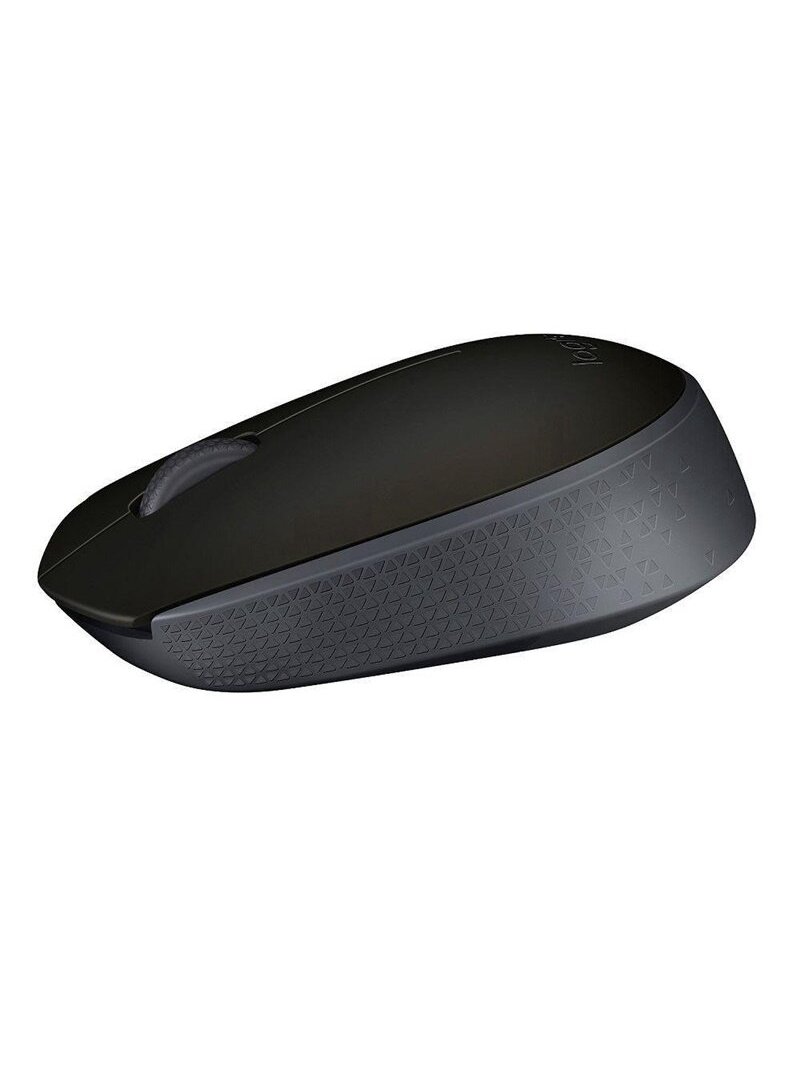 Belaidė kompiuterio pelė LOGITECH M171, juoda 2