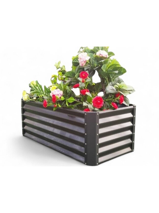 Cinkuota lysvė 60x120x44cm