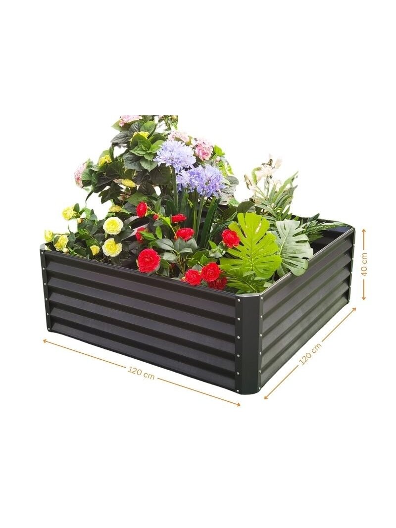 Cinkuota lysvė 120x120x44cm