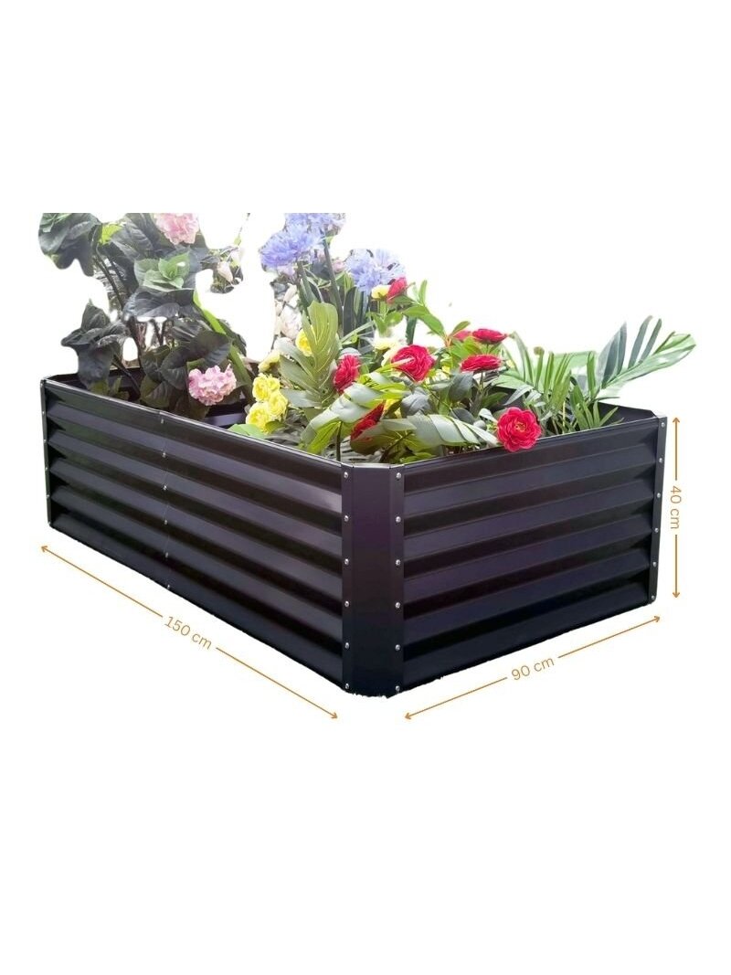Cinkuota lysvė 90x150x44cm