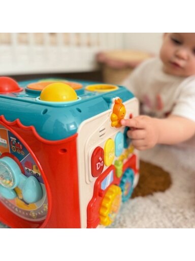 Daugiafunkcinis Montessori Veiklos Kubas 6in1 WOOPIE BABY 18m+