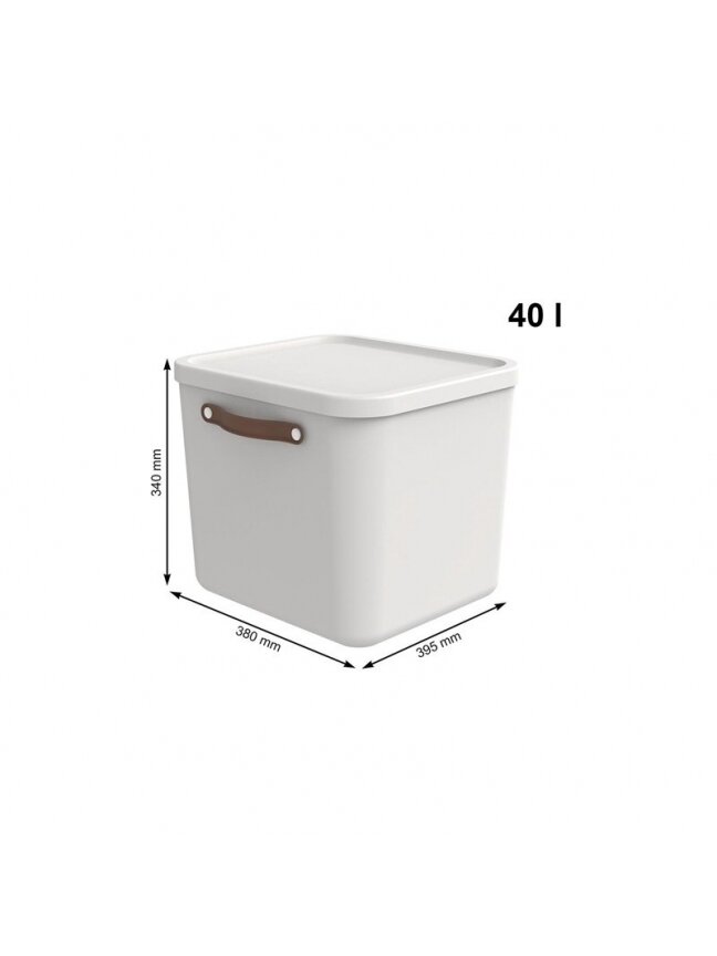 Daiktadėžė Rotho Maloja, 40 l, 39.5 x 38 x 34 cm 1 Daiktadėžė Rotho Maloja, 40 l, 39.5 x 38 x 34 cm 1
