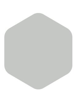 Dekoral, emalis antikorozinis | 0,65 ltr. šviesiai pilkas, blizgus RAL 7035 1