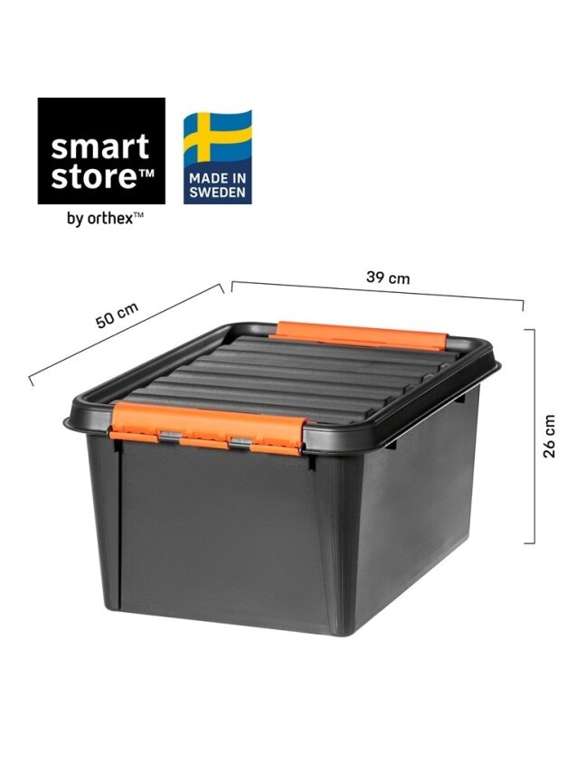 Dėžė sandėliavimo Pro 31l 1
