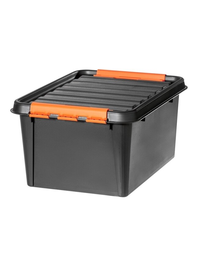Dėžė sandėliavimo Pro 31l