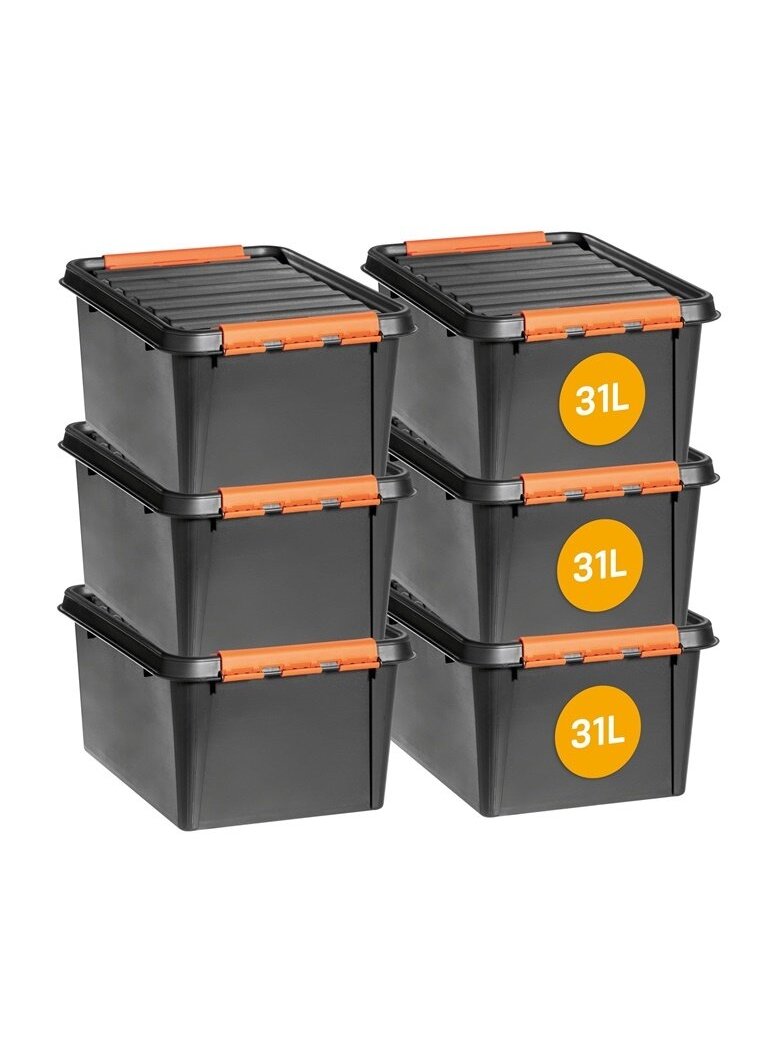 Dėžė sandėliavimo Pro 31l 2 Dėžė sandėliavimo Pro 31l 2