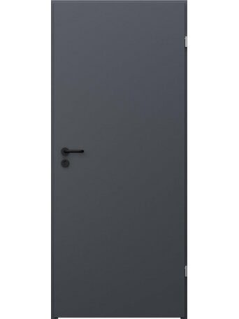 DURYS PLIEN BASIC RAL7024 952X2030X40 D