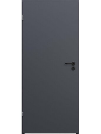 DURYS PLIEN BASIC RAL7024 952X2030X40 K