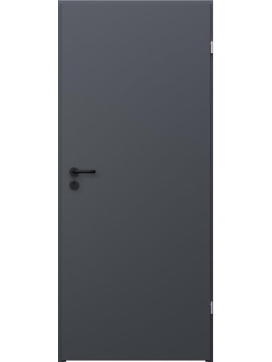 DURYS PLIEN BASIC RAL7024 952X2030X40 D DURYS PLIEN BASIC RAL7024 952X2030X40 D