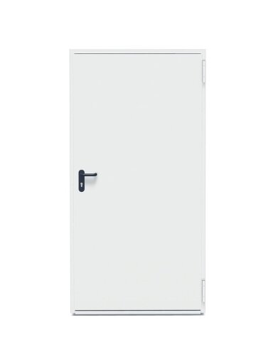 DURYS PLIEN T30-1 900X2100 RAL 9002 DURYS PLIEN T30-1 900X2100 RAL 9002