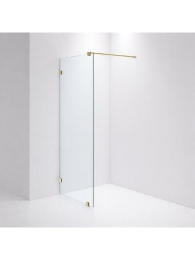 Dušo sienelė INR Arc 20 bronze 80x200