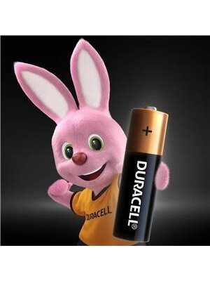 Elementai DURACELL AA/LR06, 1.5V, 10 vnt. 1 Elementai DURACELL AA/LR06, 1.5V, 10 vnt. 1