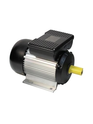 Elektros variklis 3 kW (418)