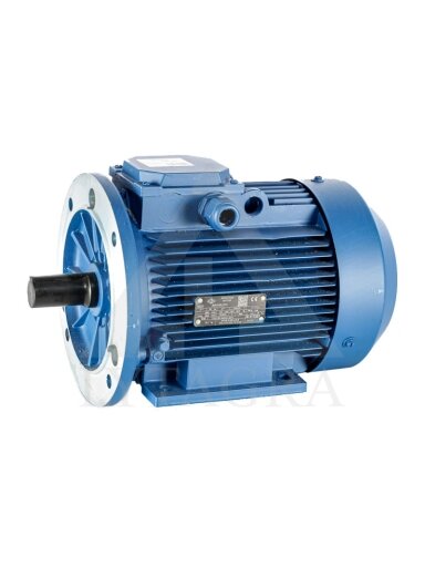 Elektros variklis 5,5 kW (420)