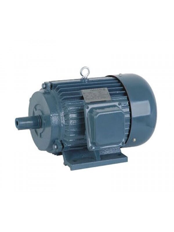 Elektros variklis 4 kW (419)