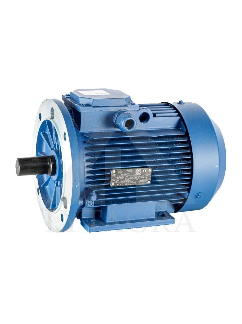 Elektros variklis 5,5 kW (420) Elektros variklis 5,5 kW (420)