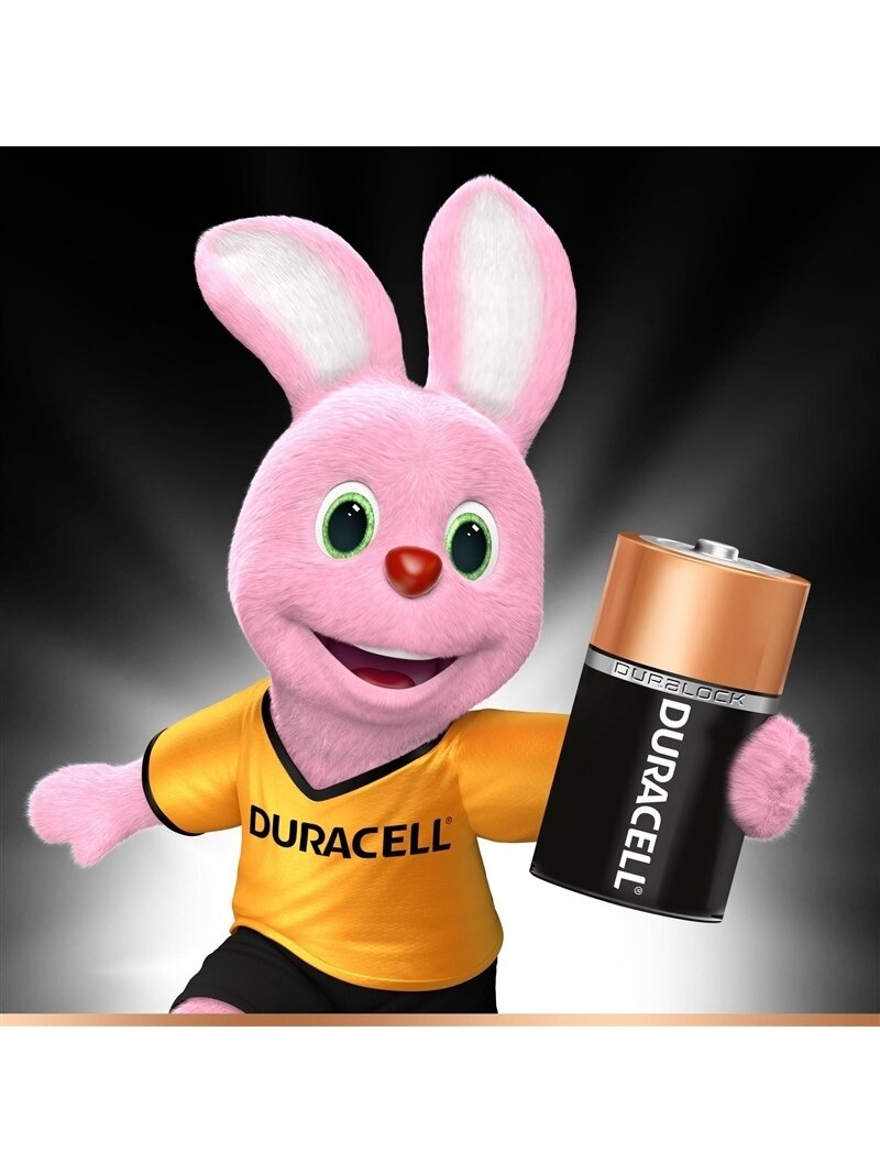Elementai DURACELL AA/LR06, 1,5V, 8 vnt. 1 Elementai DURACELL AA/LR06, 1,5V, 8 vnt. 1