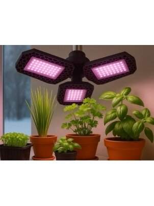 Fitolempa 108 LED 1 Fitolempa 108 LED 1