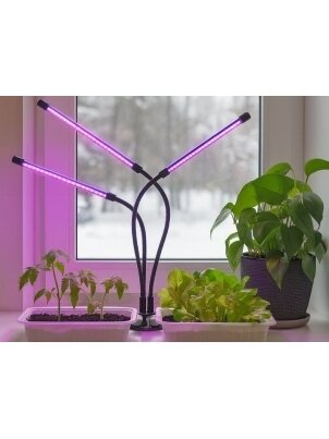 Fitolempa 3x20 LED 1