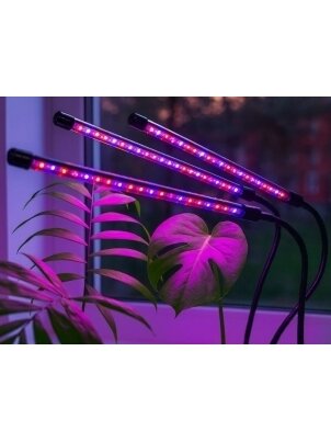 Fitolempa 3x20 LED 2 Fitolempa 3x20 LED 2