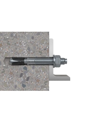 Fischer Ankerinis varžtas FAZ II Plus 10/50, 10x135 mm 20 vnt.
