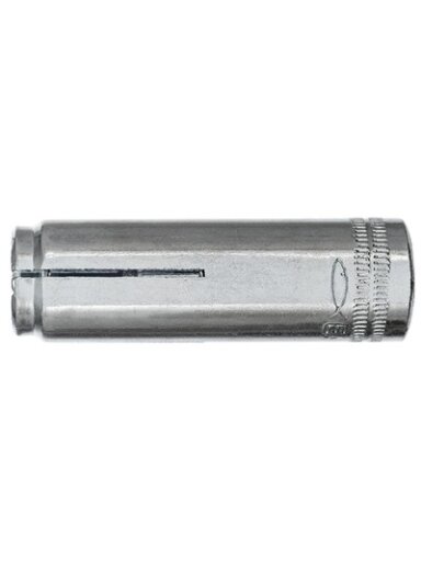 Fischer Ankeris EA II M 12x50 D GVZ su borteliu