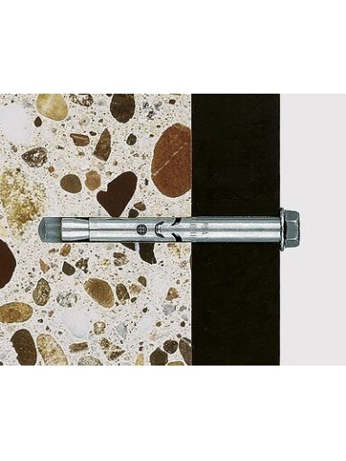 Fischer Ankeris su varžtu FSA S 10/60 10x115 mm