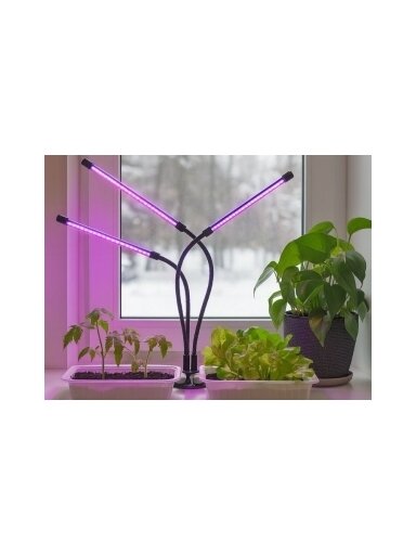 Fitolempa 3x20 LED Fitolempa 3x20 LED