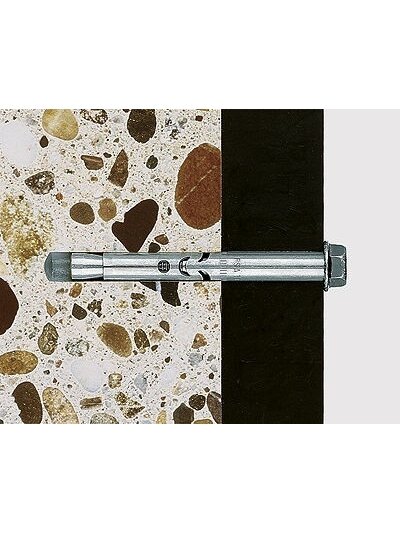 Fischer Ankeris su varžtu FSA S 10/60 10x115 mm 1