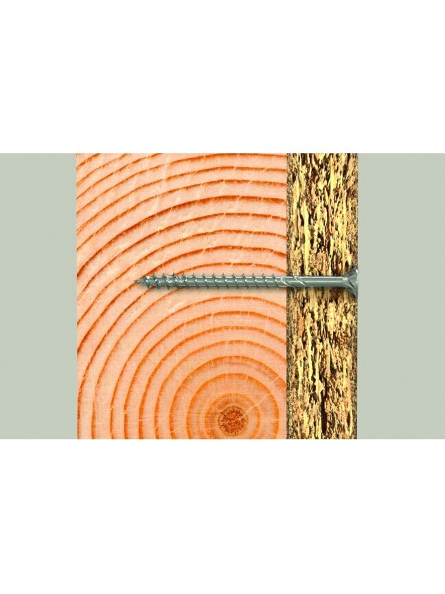 Fischer Fischer medsraigtis FPF-ST P 6,0x120 A2, 100vnt. 1