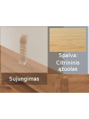 Grindjuostė termoplasto Vox, (84) citrininis ąžuolas | Sujungimas SMART FLEX / IZZI Grindjuostė termoplasto Vox, (84) citrininis ąžuolas | Sujungimas SMART FLEX / IZZI