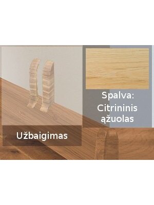 Grindjuostė termoplasto Vox, (84) citrininis ąžuolas | Užbaigimas SMART FLEX / IZZI, dešininis; kairinis Grindjuostė termoplasto Vox, (84) citrininis ąžuolas | Užbaigimas SMART FLEX / IZZI, dešininis; kairinis