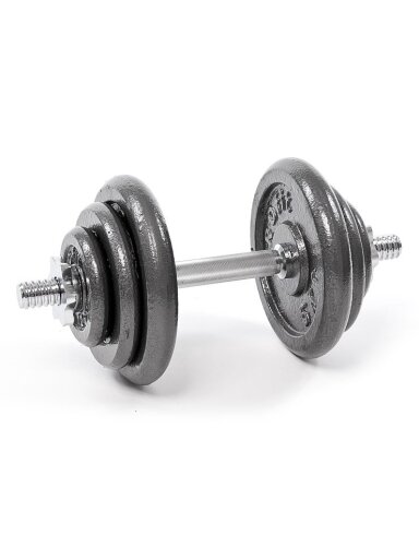 Hantelis PROFIT 20kg  DK 4126