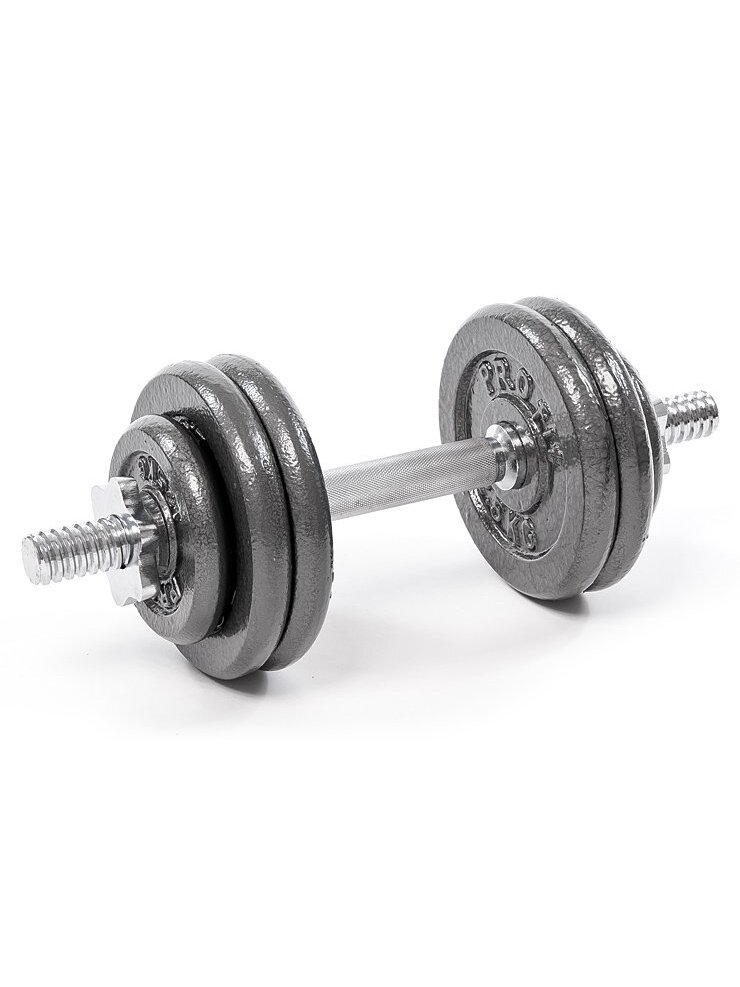 Hantelis PROFIT 15kg  DK 4126