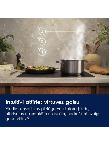 Įmontuojamas gartraukis Electrolux LFG815K
