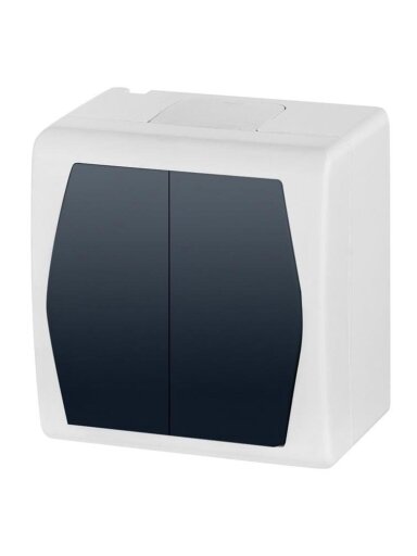 Jungiklis ELEKTRO-PLAST HERMES2, 2 klav., IP44
