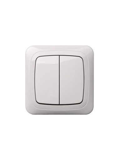 Jungiklis LIREGUS ALFA, 2 klav., baltos spalvos, IP44