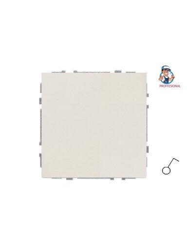 Jungiklis LIREGUS MODERN, matinės smėlio spalvos Jungiklis LIREGUS MODERN, matinės smėlio spalvos